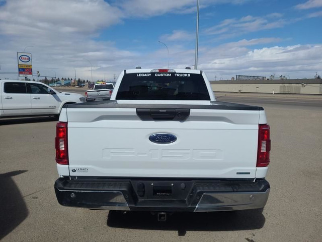 2023 Ford F-150 XL - Apple CarPlay - Android Auto in Cars & Trucks in Lethbridge - Image 4