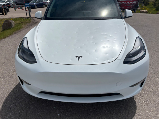 2023 Tesla Model Y Long Range AWD Hail Special in Cars & Trucks in Calgary - Image 4