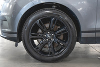 Land Rover Range Rover Velar P250 S 2023: - Extérieur métallisé gris EIGER sur intérieur en cuir noi... (image 7)