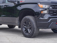 - Trailering Package - Off-Road Suspension - HD Rear Vision Camera - LED Durabed Lighting - Remote S... (image 3)