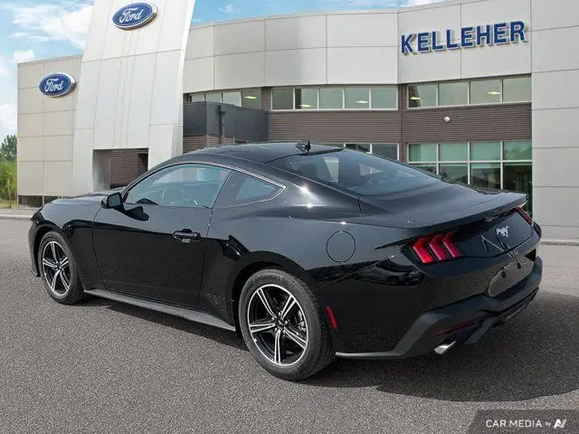 2025 Ford Mustang EcoBoost in Cars & Trucks in Brandon - Image 4