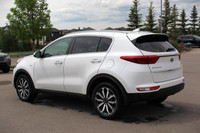 Tires - Rear Performance,4-Wheel Disc Brakes,Brake Assist,Aluminum Wheels,ABS,Tires - Front Performa... (image 9)