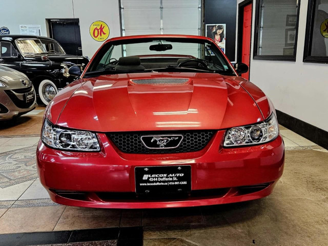 2000 Ford Mustang Very Low KMs/Manual/Convertible in Cars & Trucks in City of Toronto - Image 3