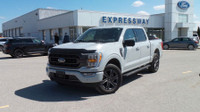  2023 Ford F-150 XLT PREVIOUS DEMO! 302A SPORT IN RARE AVALANCHE