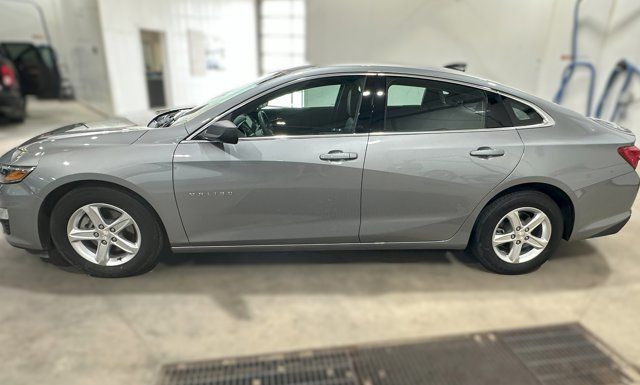 2023 Chevrolet Malibu LS in Cars & Trucks in Lloydminster - Image 3