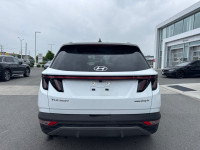 Fast Charging, Sunroof, Cooled Seats, Leather Seats, Apple CarPlay! Highways, byways, urban sprawls,... (image 6)