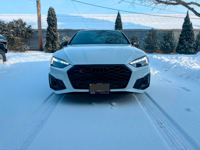 2023 Audi S5 Technik in Cars & Trucks in Leamington