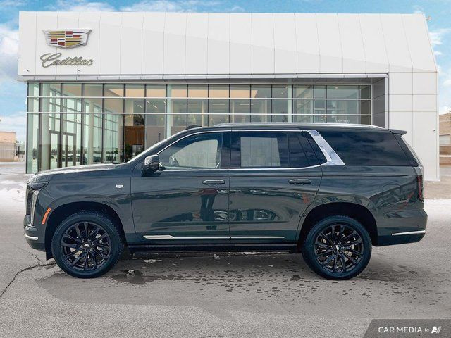 2025 Cadillac Escalade 4WD Premium Luxury in Cars & Trucks in Winnipeg - Image 2