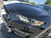 Recent Arrival! Black 2017 Ford Mustang Shelby GT350 RWD Tremec 6-Speed Manual 5.2L Ti-VCT V8 | Modi... (image 8)