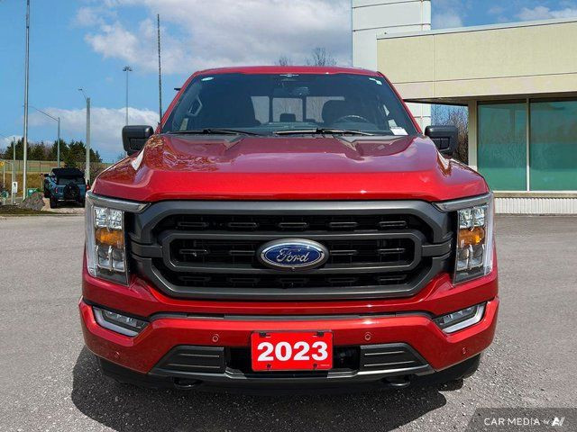 2023 Ford F-150 XLT in Cars & Trucks in Kitchener / Waterloo - Image 3