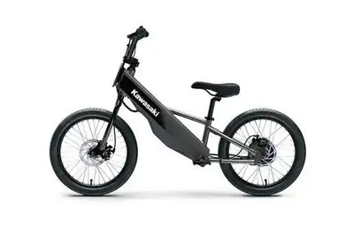 PRICE DOES NOT INCLUDE DEALER FEES AND TAXES Engine Type: Direct hub motor Battery: Lithium-ion Char...