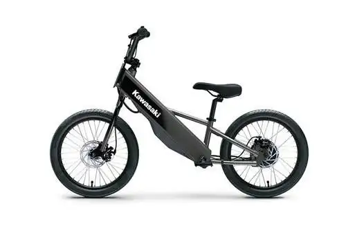 2025 Kawasaki ELEKTRODE 20FS in Street, Cruisers & Choppers in Kelowna - Image 2