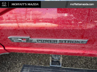 Power Running Boards, B&O Sound System, Adaptive Cruise Control, HUD, Lane Keep Assist, Navigation,... (image 9)
