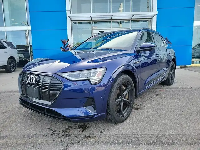 2021 Audi e-tron 55 Technik63838164959491120