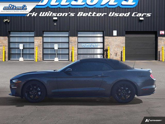 2018 Ford Mustang EcoBoost Premium Leather | Cooled + in Cars & Trucks in Guelph - Image 2