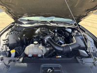 THE PRICE YOU SEE, PLUS GST. GUARANTEED!3.7 LITER V6, 6 SPEED MANUAL TRANSMISSION, CLOTH BUCKET SEAT... (image 8)
