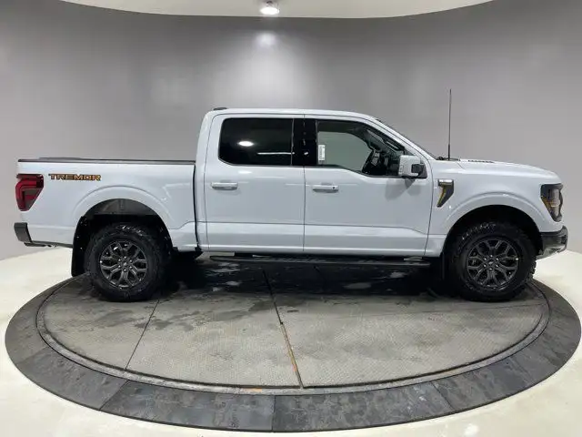 2025 Ford F-150 Tremor in Cars & Trucks in Strathcona County - Image 15