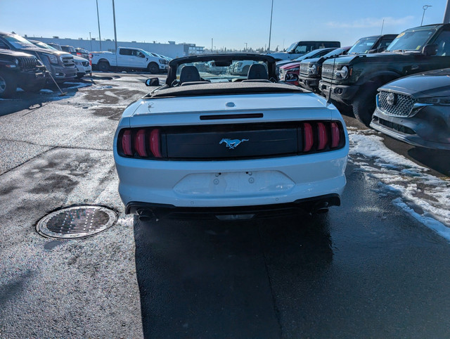 2021 Ford Mustang EcoBoost Premium *PRICE REDUCED* 2.3L CONVE... in Cars & Trucks in Calgary - Image 3
