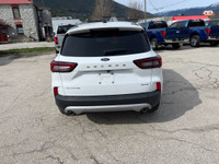 Heated Steering Wheel, Remote Start System, Heated Front Row Seats, Front & Rear Floor Liners, FordP... (image 3)