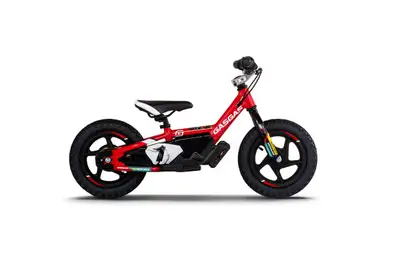 A safe and enjoyable way for any child to develop key bike riding skills, with no pedals, the GASGAS...