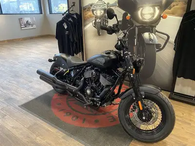 2025 Indian Motorcycle Chief Dark Horse Blue DuskFeatures may include: THUNDERSTROKE 116 Drawing ext...