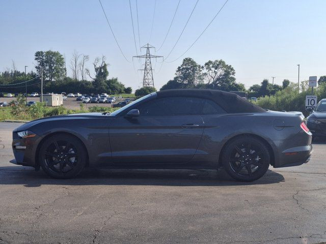2018 Ford Mustang EcoBoost Premium Leather | Cooled + in Cars & Trucks in Guelph - Image 2