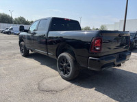 NIGHT EDITION -inc: Gloss Black Nostrils/Mic Black Grille Tires: LT285/60R20E OWL On/Off Road Black... (image 6)