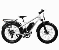 2023 Daymak Wild Goose Sport Let the Wildgoose take you on your 