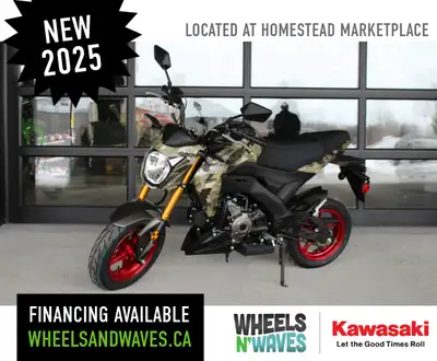 Financing Available From $42.98* (Bi-Weekly) $5,043.00 x 84 months based on 8.99% APR and $0 down pa...