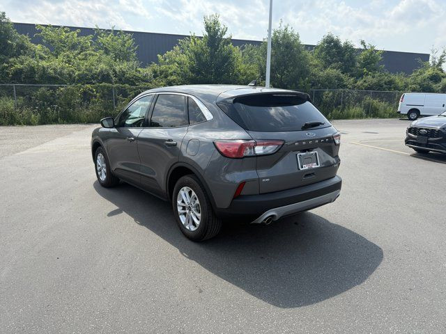 2022 Ford Escape SE in Cars & Trucks in Windsor Region - Image 4