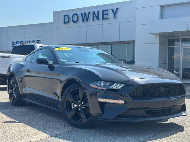 2022 Ford Mustang EcoBoost Premium RWD | FASTBACK | PERFORMANCE  in Cars & Trucks in Saint John