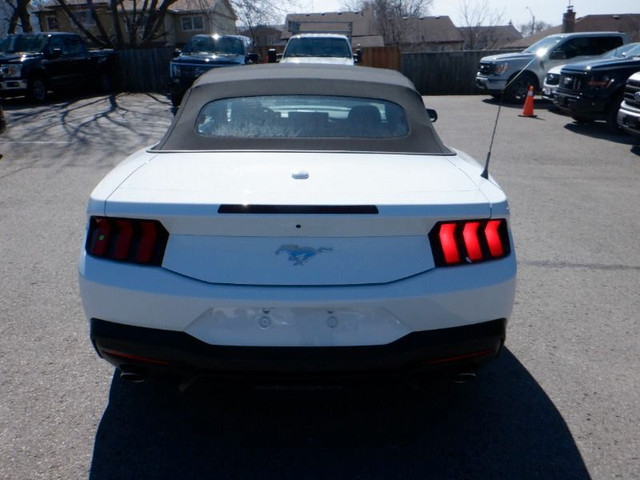  2024 Ford Mustang EcoBoost Convertible in Cars & Trucks in Oshawa / Durham Region - Image 4