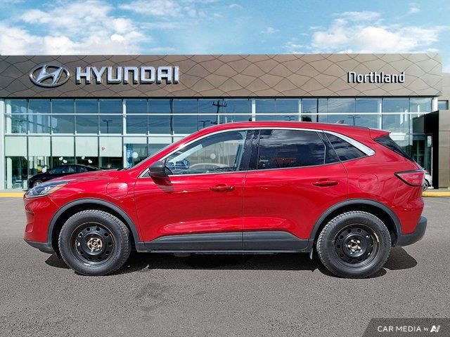 2022 Ford Escape SE Plug-In Hybrid | Remote Start in Cars & Trucks in Prince George - Image 2