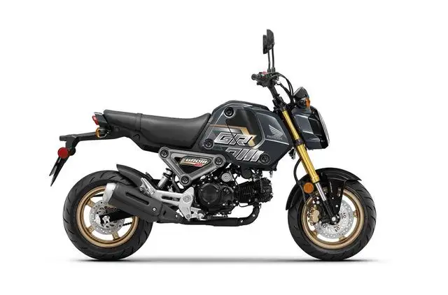 2024 Honda GROM 125 MSX125R in Street, Cruisers & Choppers in Kelowna - Image 3