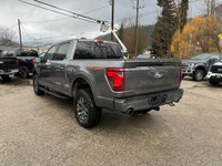 Engine Block Heater, Tailgate Step, Skid Plates, Adaptive Cruise Control, FordPass Connect, LED Fog... (image 5)