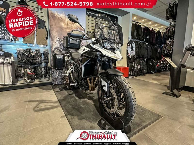 2024 TRIUMPH Tiger 900 GT Pro in Sport Touring in Sherbrooke