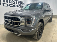 2022 Ford F-150 Platinum PLATINUM | 3.5L ECOBOOST | DUAL SUNROOF | 2 SETS O 4WD. Gray Metallic 3.5L... (image 2)