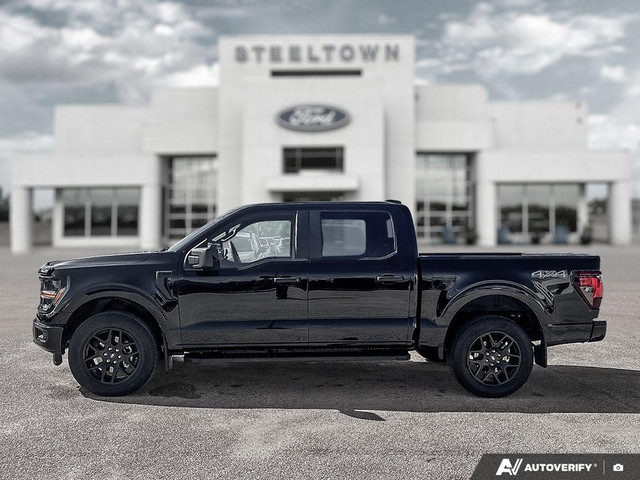2024 Ford F-150 STX - Aluminum Wheels - SYNC 4 in Cars & Trucks in Winnipeg - Image 3