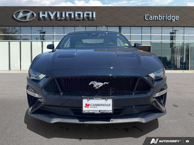 2021 Ford Mustang GT Premium | 5.0L V8 | Heated & Cooled Seats in Cars & Trucks in Cambridge - Image 2
