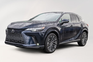 2023 Lexus RX Luxe / navi / camera / pano / mags-21