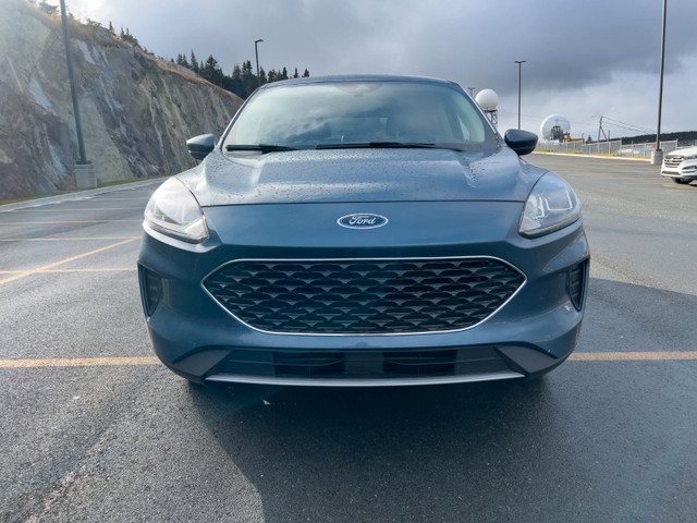 2020 Ford Escape SE in Cars & Trucks in St. John's - Image 2