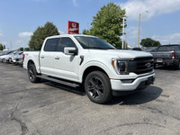 Unleash the power and capability of this 2023 Ford F-150 XL Crew Cab Pickup, boasting a robust Stone... (image 2)