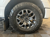 2023 FORD F-150 TREMOR 3.5L V6 ECOBOOST 10 SPEED EQUIPMENT GROUP 402A TREMOR SERIES 360 DEGREE CAMER... (image 3)