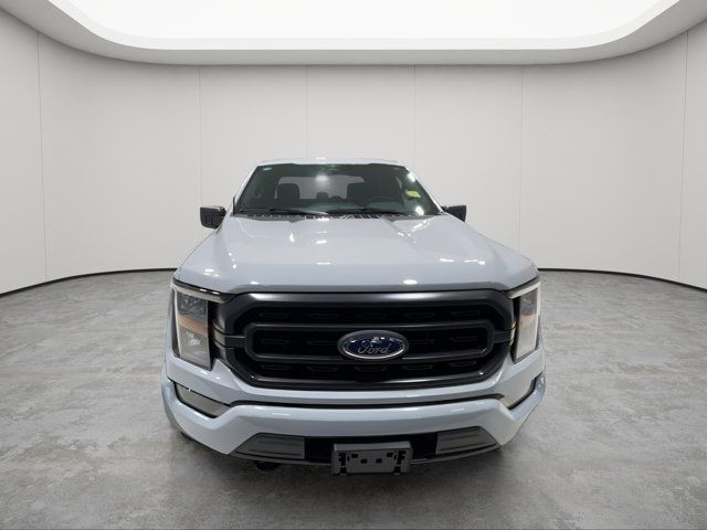 2023 Ford F-150 XLT - CLEAN CARFAX - ONE OWNER in Cars & Trucks in Strathcona County - Image 2
