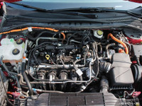 **HOT TRADE ALERT!!** Check out this locally owned 2021 Ford Escape Hybrid AWD powerhouse loaded wit... (image 7)