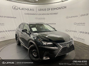 2018 Lexus NX 300 LUXURY PACKAGE