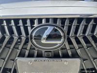 ULTRA LUXURY PKG EXTRAS ON VEHICLE -CARGO LINER -BODY SIDE MOULDINGS -ILLUMINATED DOOR SILLS -WINDOW... (image 8)