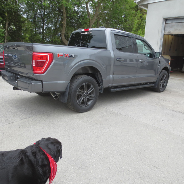 2021 Ford F-150 XLT FX4 in Cars & Trucks in St. Catharines - Image 4