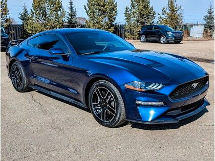 2019 Ford Mustang ECOBOOST COUPE *LOW KMS* w/PERFORMANCE PKG in Cars & Trucks in Edmonton