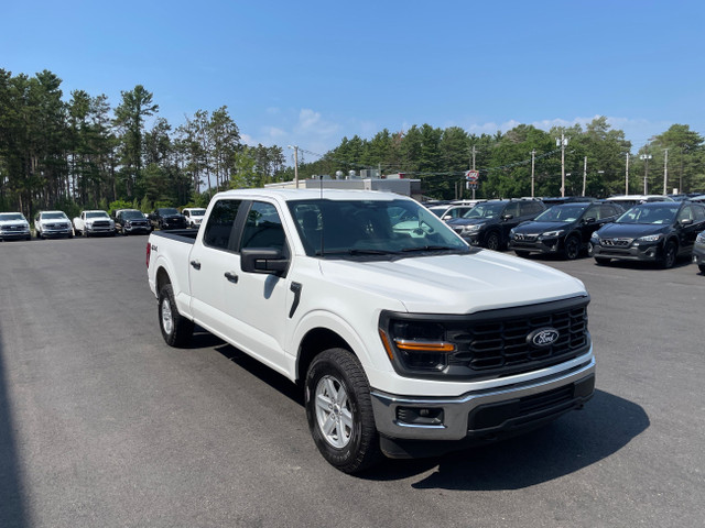 2024 Ford F-150 XL -Clean Carfax-Navigation- in Cars & Trucks in Annapolis Valley - Image 4